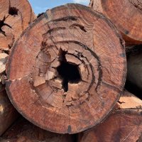 岡田玄　Gen Gregorio OKADA (@okadag) Twitter profile photo