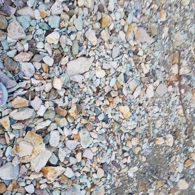 joihyeon4's profile picture. 