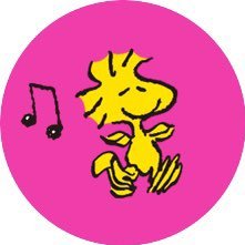 K37gNori's profile picture. 