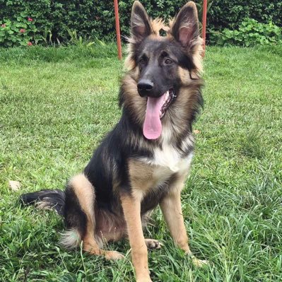 HamaHamwubonIsi's profile picture. Don’t compare yourself to others,always strive to be better than you were yesterday