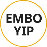 EMBO YIP (@embo_yip) 's Twitter Profile
