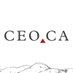 CEO🔺CA (@ceodotca) Twitter profile photo CEO🔺CA (@ceodotca) Twitter profile photo