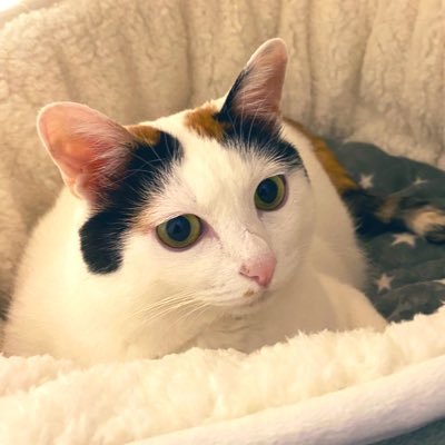 白鈴アキさんのプロフィール画像