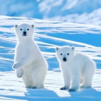 eillac_h's profile picture. 