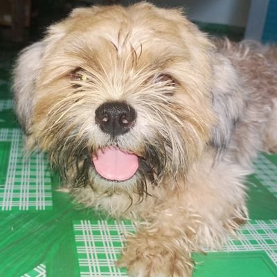 cnft_c's profile picture. 