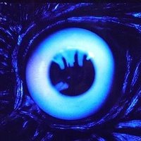りんこ (@bxz_td) 's Twitter Profile