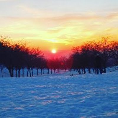 to71692676's profile picture. 