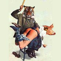 Dino Bardot (@dinobardot) 's Twitter Profile