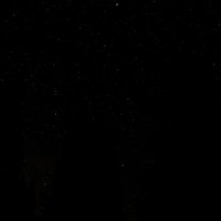 What shld I do with this (@s3venesp) 's Twitter Profile