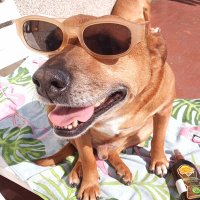 Fleur de la Whatever (@officeofthings) 's Twitter Profile