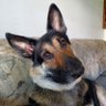 zachsmom1972's profile picture. Mom to a musically inclined son who I love, Air Force Mom to same kiddo, friend, dog mom