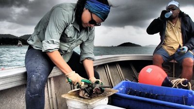 #Postdoc in the #IntegratedFisheriesLab @DalhousieU #sharksandrays #fisheries #spatialecology #conservation #nurseryareas She/her