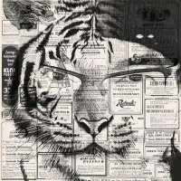 ElGatoCarrilloEACC🌎 (@elmejornumero1) 's Twitter Profile