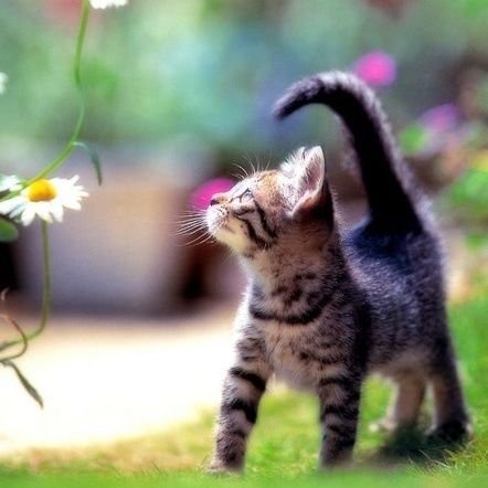 Iruru_T's profile picture. 感想をほどほどに