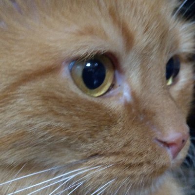 Antonio63482289's profile picture. 