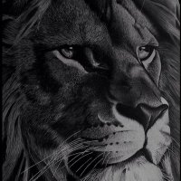 Chairman _General1 (@itsgeneral_) 's Twitter Profile Photo Chairman _General1 (@itsgeneral_) 's Twitter Profile Photo