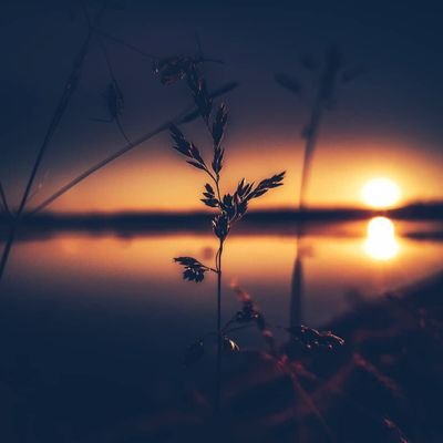 skydesign4321's profile picture. designing is my speciality