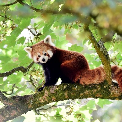 MadelinR235's profile picture. 