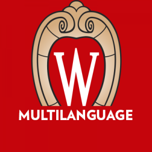 The Intensive Summer Multilanguage Seminar via WISLI is a fully online program that allows students to engage in supported, self-directed language study.