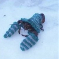 Matt (@dootlebob) 's Twitter Profile
