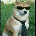 .... (@quieromihuscar) Twitter profile photo .... (@quieromihuscar) Twitter profile photo