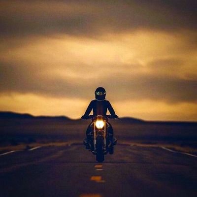 Foucalt1981's profile picture. 