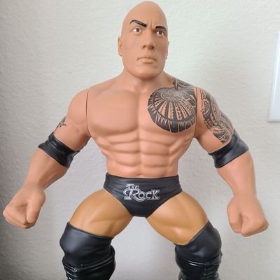 Collecting @TheRock Toys and Merchandise since the 90's.