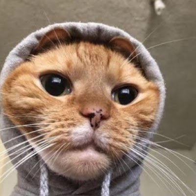 Laufalling712's profile picture. Laura Anjos
Terceira conta pq nunca lembro as senhas 
Sonserina
Chalé 7
Bookstan 
Me deram:feliz. Sou: fã de banana fish