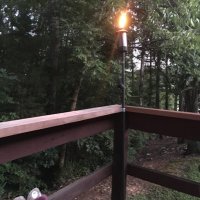Steve Wolfenbarger (@volwolfsw) 's Twitter Profile