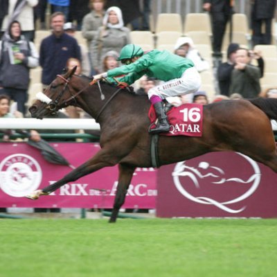 Elever avec l'agilité d'Al Capone II, la puissance de Zarkava, la surprise d'Oyonnax et admiratif d'Etonnant.
Ici pour discuter canasson, course et pronos !