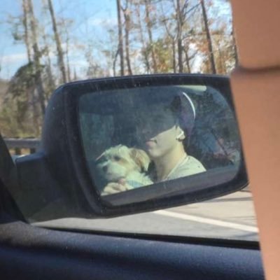 Gwbdascrub's profile picture. Ashland University Esports player on Scholarship | 22 years old | https://t.co/d8MzjZwYjL hit it up