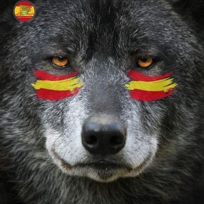 currante😅😅 🤣🤣#ESP ESPAÑOL Y ANTI POPULISTAS