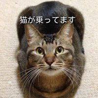 ねこおぢ(@uncle_cat_ride) 's Twitter Profile Photo