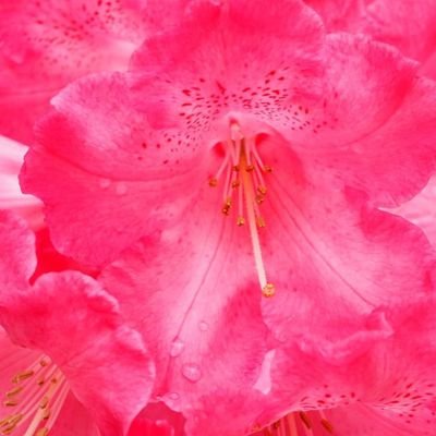 totomo_tomotomo's profile picture. 美しいものがよい

https://t.co/AhM5GKmSst