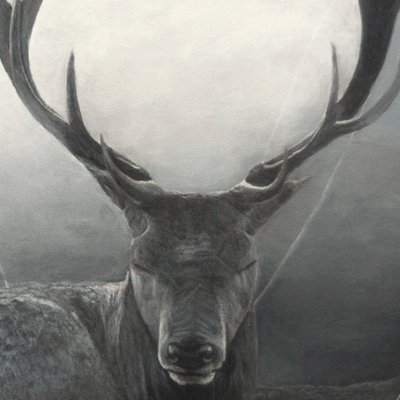 JUDEさんのプロフィール画像