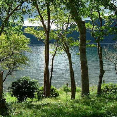 sigsg0088's profile picture. 