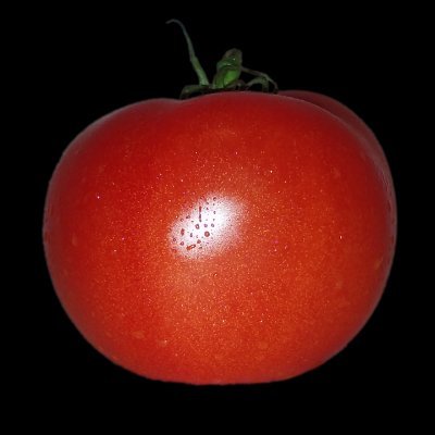 I'm a fruit, but I identify as a vegetable. 🍅🗽📜🇺🇸
Fuck Joe Biden, Fuck Ukraine, Fuck Russia, Fuck your Climate Scam, Fuck your sissy feelings. ⛔️🚫⚠️🧻