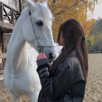 .. (@n_27r) 's Twitter Profile