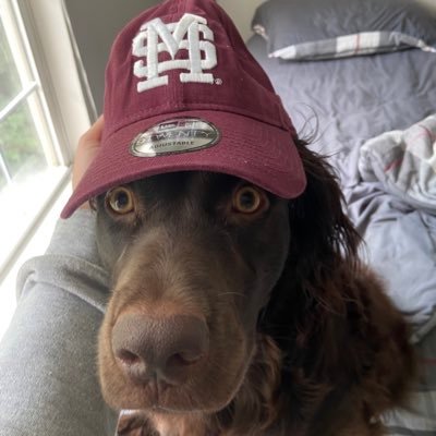 #MississippiState Alumni, Field Engineer, trader, constant stick thrower to my Boykin Spaniel