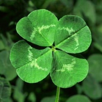 DrSeanMc2's profile picture. 