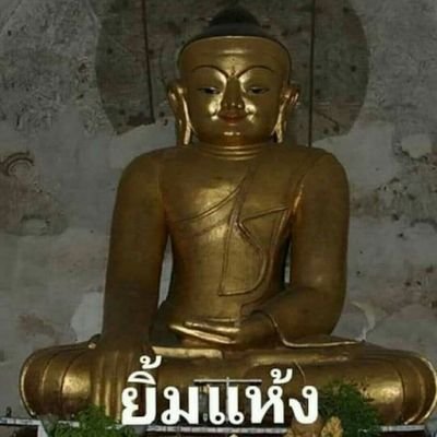 saxo_tangbubu's profile picture. 