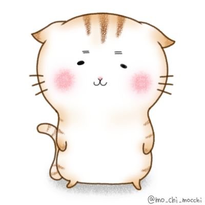 おもちねこさんのプロフィール画像