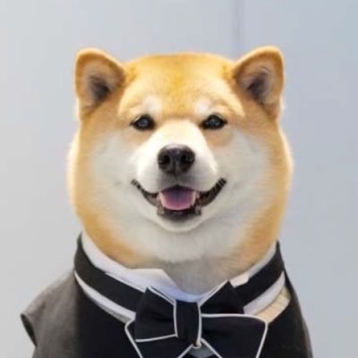 柴犬まるさんのプロフィール画像