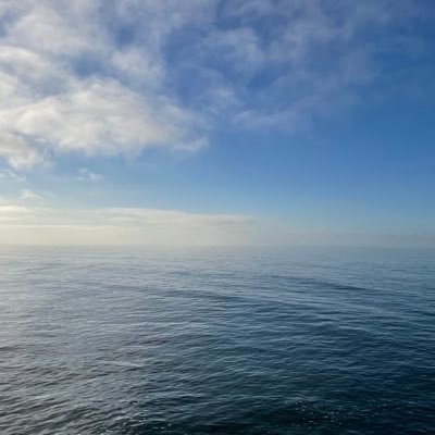 bidonrakiq's profile picture. husband and father|❤️soccer and FC Levski Sofia, обичам България,живея в САЩ!$RENDER MAXI