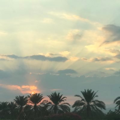 HameedAhmedHa's profile picture. 