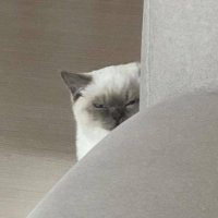 ว / rest (@33xwon) 's Twitter Profile Photo ว / rest (@33xwon) 's Twitter Profile Photo