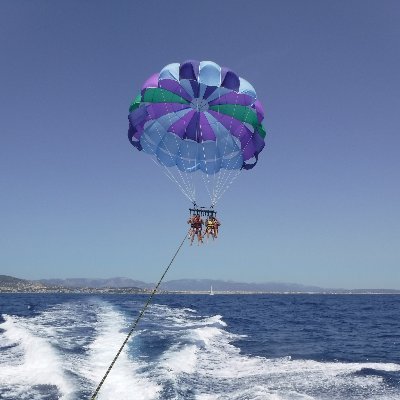 Simscc32846's profile picture. 