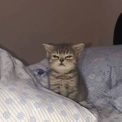 Bill'sさんのプロフィール画像