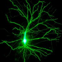 S_Martin (@sumoslab) 's Twitter Profile Photo