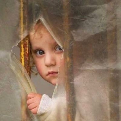 ragghad0087's profile picture. ..